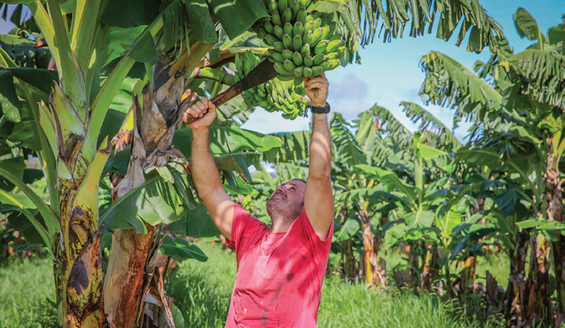 NaturalEvolution image from Entrepreneurs Programme