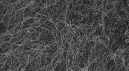 Image for Squeezing opportunities out of the tube: Geelong startup works toward nanomaterials world first