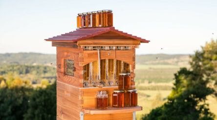 Image for Flow hive wins major copycat battle.