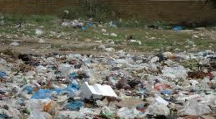 Image for Plastic bags born again as new road in Adelaide