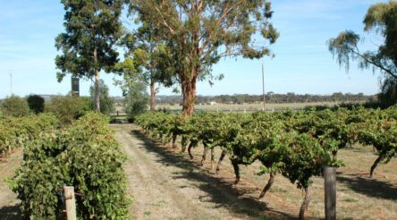 Image for NSW launches food and beverage strategy