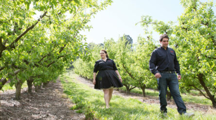 Image for Growing juice company squeezes more out of premium market