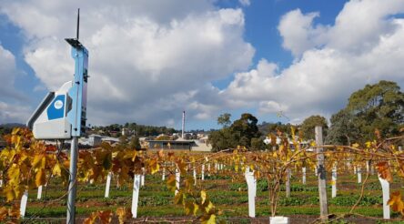 Image for Austrade markets Australian Agriculture 4.0