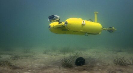 Image for Australia falling behind in AI and robotics