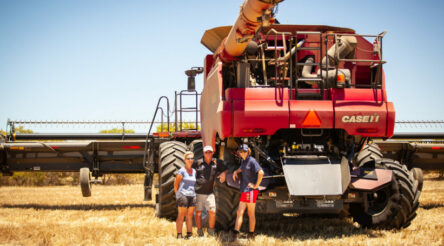 Image for Seed Terminator enters full production