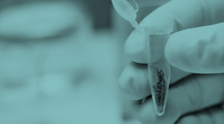 Image for Cannabis production facility gets major projects status