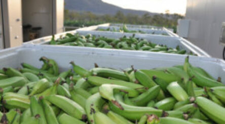 Image for Monash adds the cream to food innovation