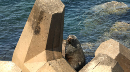 Image for CRC proves its worth even with the climate deniers in charge