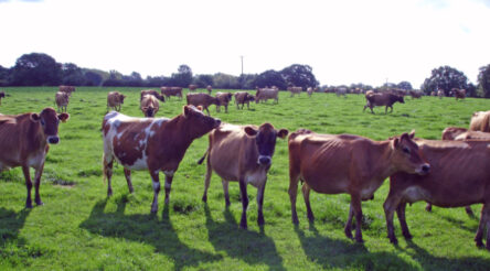 Image for Keytone Dairy buys contract manufacturer Omniblend