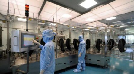 Image for CSL in rude health, prognosis good