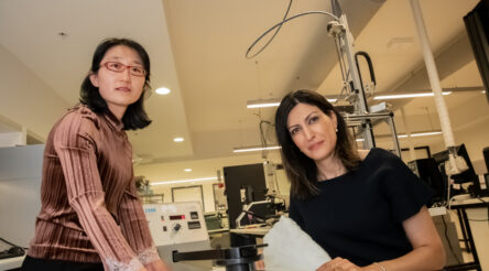 Image for Deakin and Ford create wool-based alternative to petrochemical car insulation