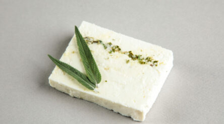 Image for An Australian Jolly Swagman heads to the United States