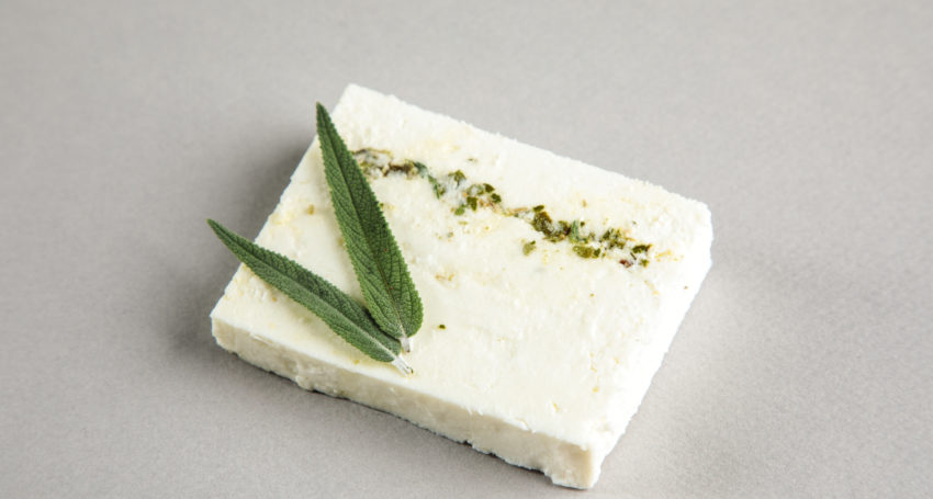 Jolly-Swagman-credit-Duy-Dash-Photography-850×455