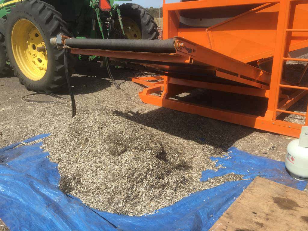 d8-decorticator-in-action-3-1024×768-67-1024×768