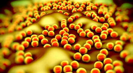 Image for Biotech Resources breakthrough in diagnosing blood-borne disease