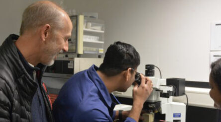 Image for Speedpanel attracts $876,569 grant for project to develop next-generation, low-carbon product