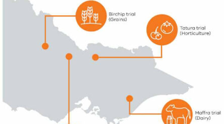 Image for Victorian government calls for farms to trial the IoT