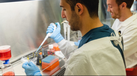 Image for Grant backs lab-grown kangaroo meat