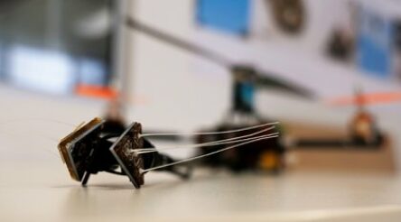 Image for Australian researchers show how cheap “whiskers” can aid sensing in drones