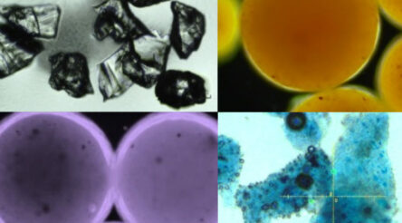 Image for Tiny solution to dissolving microplastic pollution