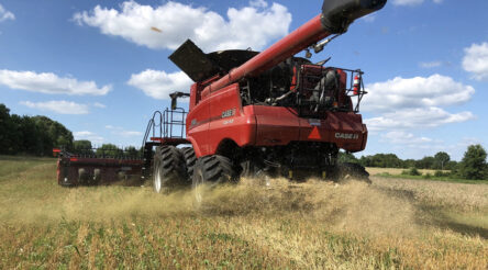 Image for Aussie weed crusher targets American harvest
