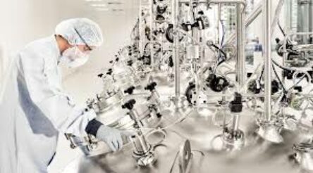 Image for Managing Innovation – finding the right balance