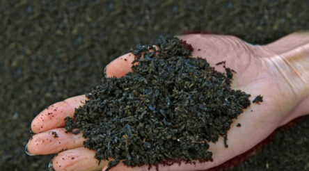 Image for ARENA backs biosolids waste-to-energy plant in Queensland