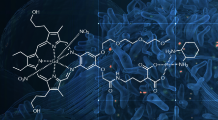 Image for Australian company acquires novel anti-cancer drug technology