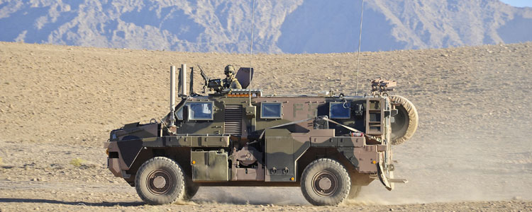 slider_bushmaster_tarinkot