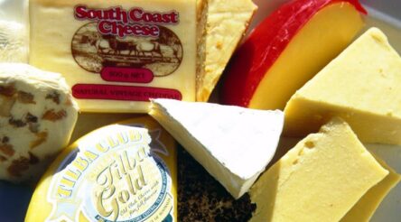Image for Cheesemakers face opportunities as well as volatility, says new report