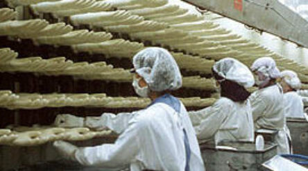 Image for Ansell hit again over alleged worker exploitation