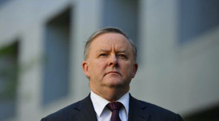 Image for Low carbon economy can spur Australian “manufacturing boom”: Albanese