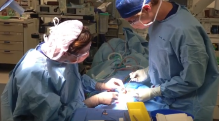 Image for Cochlear gets US clearance to market Osia system