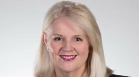 Image for SMEs receive grants to link with global markets