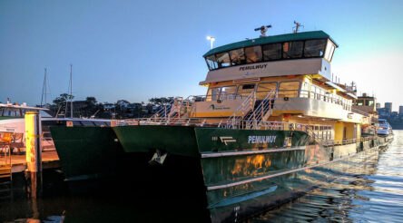 Image for Now NSW sources ferries from overseas, ignores local builder