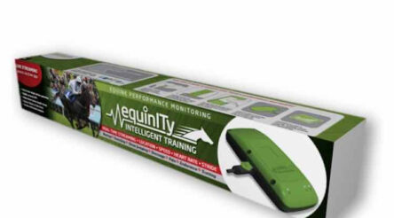 Image for And the winner of the Melbourne Cup was…IoT