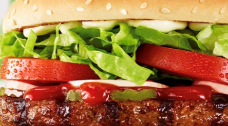 Image for Second plant-based meat maker gains funding