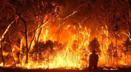 Image for Of natural and greenhouse gases – comment