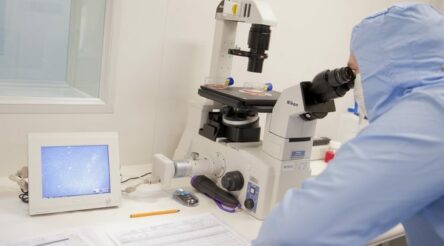 Image for Orthocell receives $2.9 million R&D refund