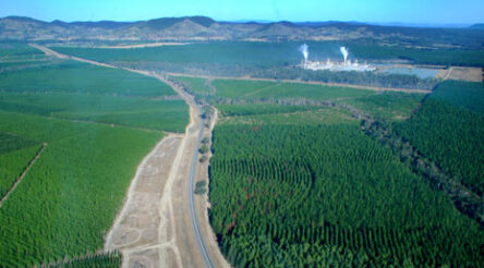 Image for Laminex to conduct feasibility study for co-generation plant at Toolara