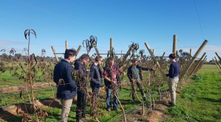 Image for Geelong precision farming startup begins trials