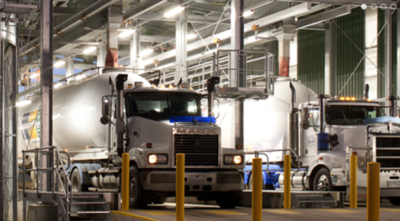 Image for Ridley defies drought to maintain animal feed profits