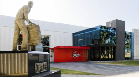 Image for Coopers stout is dark horse in beer race