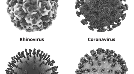 Image for Melbourne company’s antiviral spray could offer protection against COVID-19