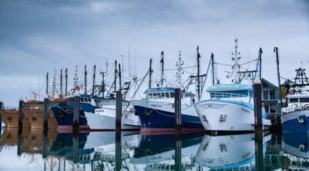 Image for Business alive to climate action opportunities