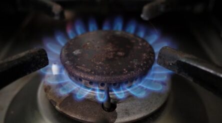 Image for Gladstone to get “first in Australia” gas network hydrogen supply