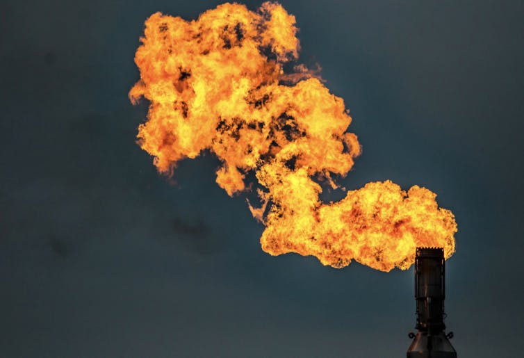 file-20200203-41481-1200gpi