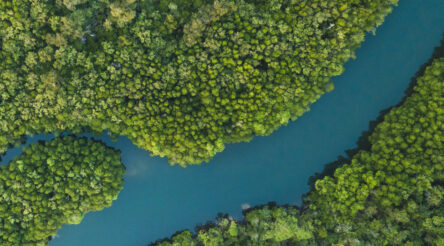 Image for Focus on waste-to-value for inaugural World Engineering Day 