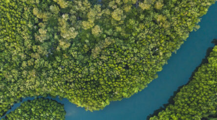 Image for Nestlé and IQ Renew to recycle soft plastics