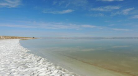 Image for World-first study demonstrates ultra-fast, biologically-inspired lithium extraction technique